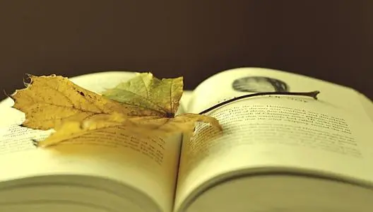 那些文艺而不烂俗的句子