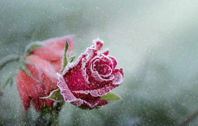 下雨天发朋友圈伤感短句