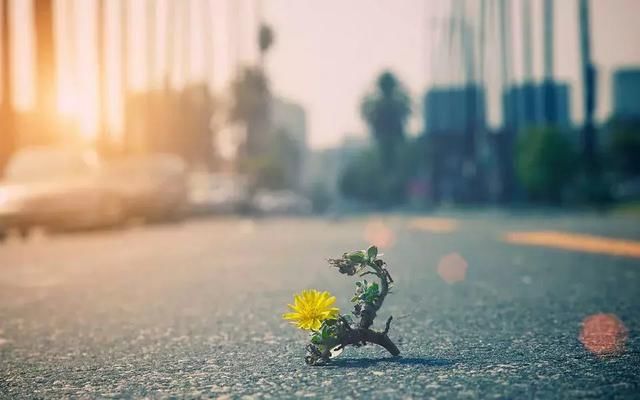 朋友圈高冷文案