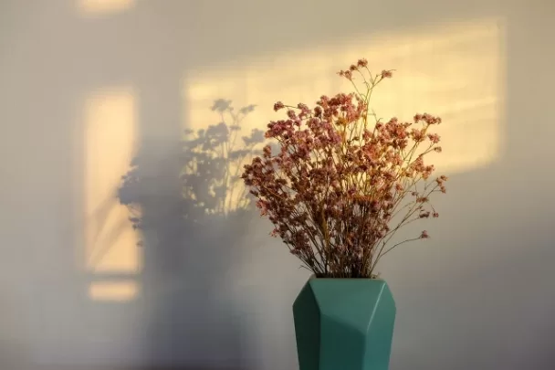 深夜朋友圈晚安的句子